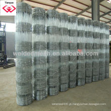 Galvanizado ou PVC revestido cerca de pastagem de qualidade (ISO 9001)